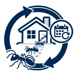 Pest Control Bexley