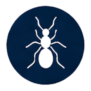 Pest Control Bexley
