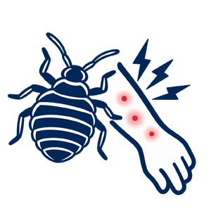 Pest Control Bexley