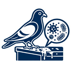 Pest Control Bexley