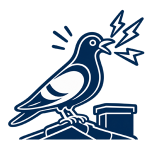 Pest Control Bexley
