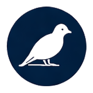 Pest Control Bexley