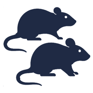 Pest Control Bexley
