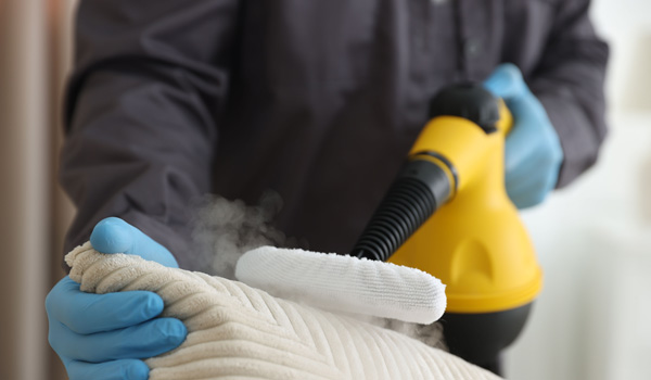 Pest Control Bexley