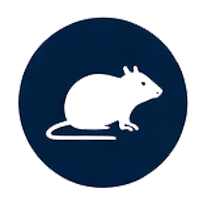 Pest Control Bexley