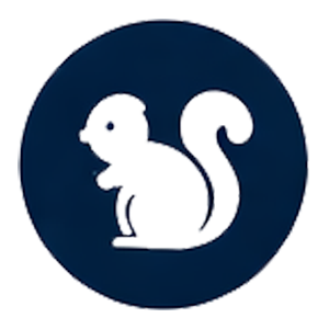 Pest Control Bexley